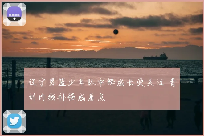 辽宁男篮少年队中锋成长受关注 青训内线补强成看点