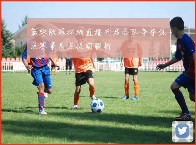 篮球欧冠杯线直播开启各队争夺焦点赛事看点提前解析